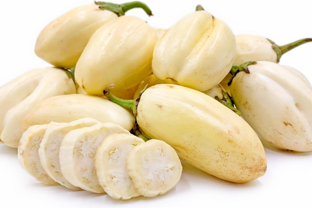 African Garden Eggplant
