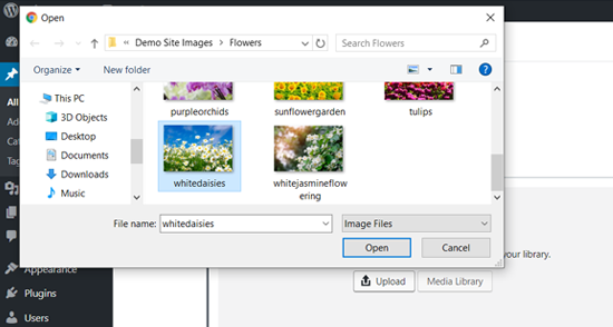 Carregar imagens para sua galeria de fotos do WordPress a partir do computador