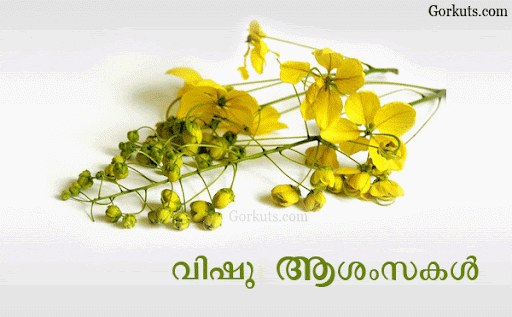 vishu scraps