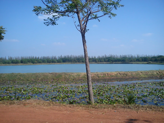 DSC02980.JPG