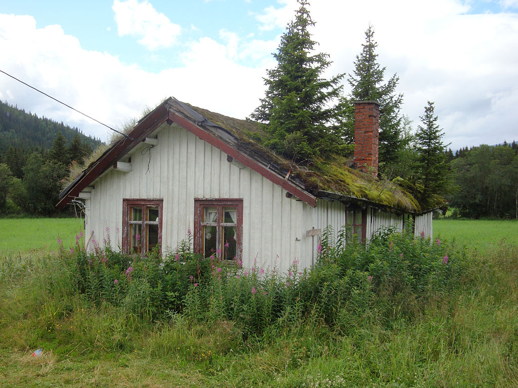 個性的で機能的な北欧住宅の屋根 輸入住宅コラム