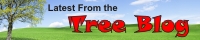 Find great info in our Tree Blog! Tree service blog