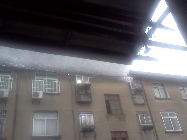 我家窗外挡雨棚上面的冰已经结成……卷成这个样子了