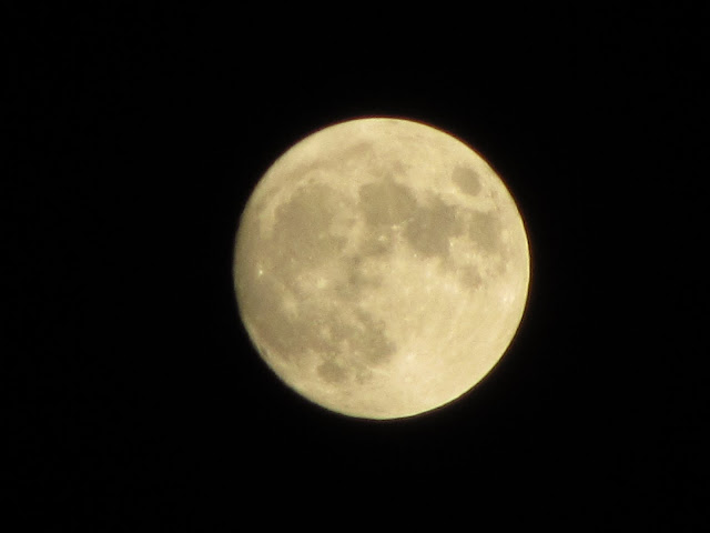 昨天拍的月亮哦！可惜不是满月！