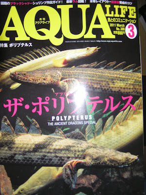 AQUALIFE 3月号