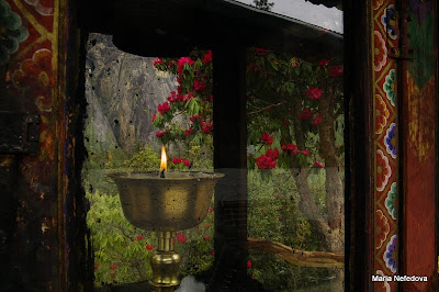 Бутан, апрель 2011: Паро-Пунакха-Тронгса-Бумпанг-Тхимпху