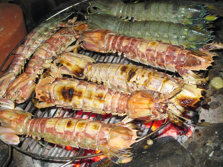Bề bề là một trong những đặc sản hấp dẫn tại đảo cô tô