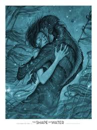 Image result for shape of water