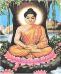 Siddhartha