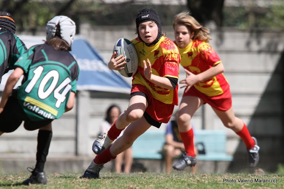 IMAGE: https://lh6.googleusercontent.com/_xoFtBSPgB9Y/TaMBoiNsh_I/AAAAAAAAD-Q/uu5dQPFli9Q/s912/IMG_3585.JPG