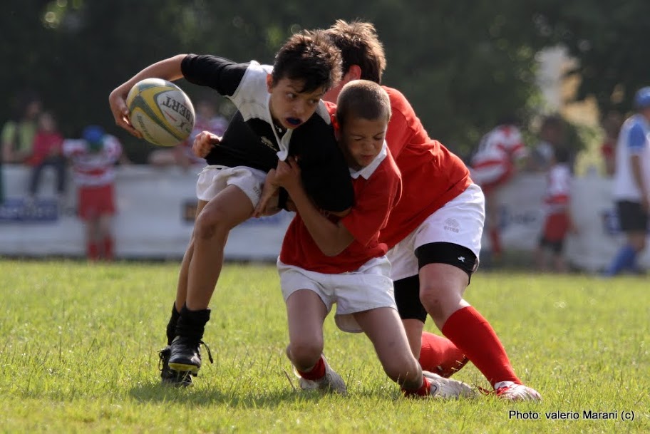 IMAGE: https://lh6.googleusercontent.com/_xoFtBSPgB9Y/Tcl22bLbofI/AAAAAAAAExI/Tj7m-O9jPcw/s912/IMG_7963.JPG