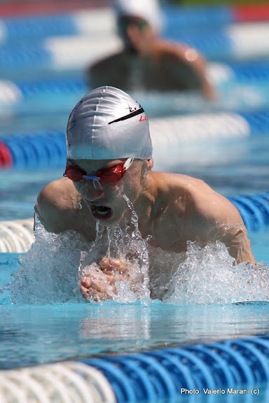 IMAGE: https://lh6.googleusercontent.com/_xoFtBSPgB9Y/TdCvHJ45kkI/AAAAAAAAFNc/ontT4VTdDHk/s576/IMG_8680.JPG