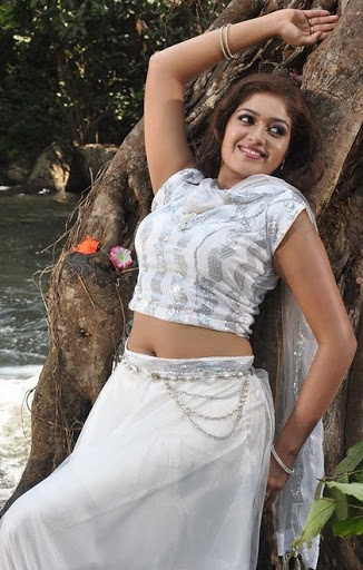 Meghana Raj In Hot Saree Jaya Arts 