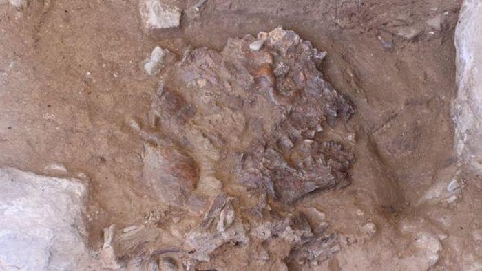 Tengkorak manusia Neanderthal yang telah dihancurkan