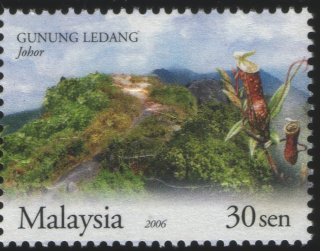 Malaysia_2006_Nepenthes.jpg