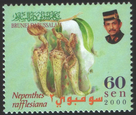 Brunei2000.jpg
