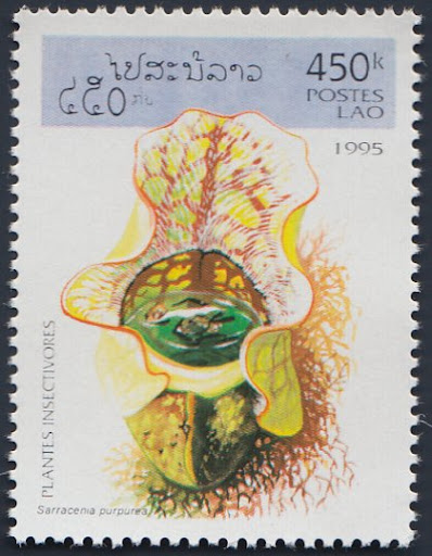 Laos1995_3.jpg