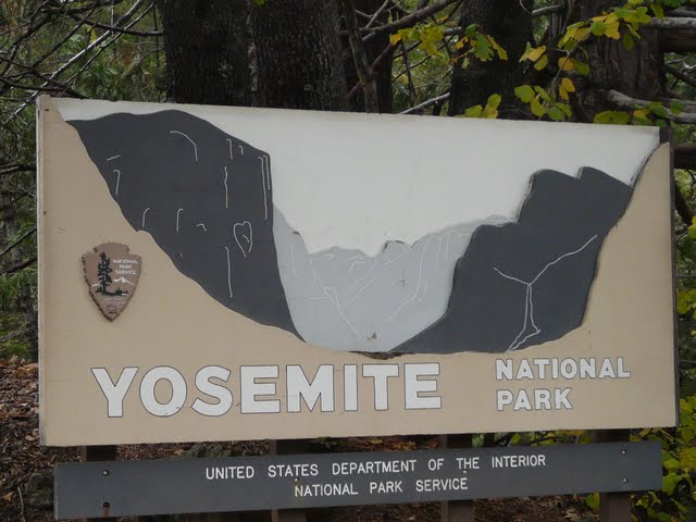 Explorando la Costa Oeste USA - Blogs de USA - Yosemite National Park (1)