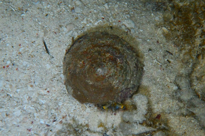 Наши первые Филиппины! (Фотоотчет)