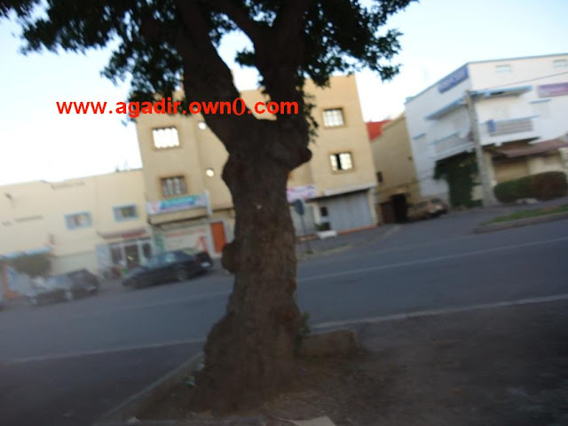 صورة من حي النهضة بمدينة اكادير DSC00188