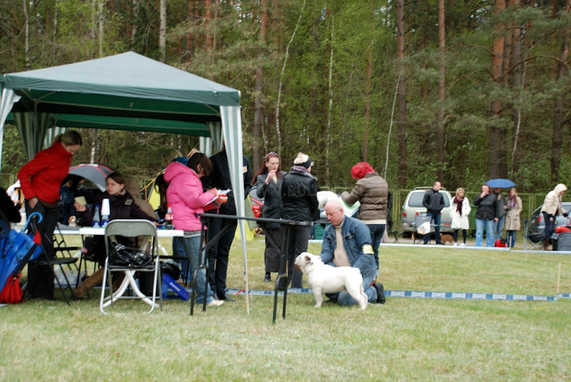 Paveikslėlis
