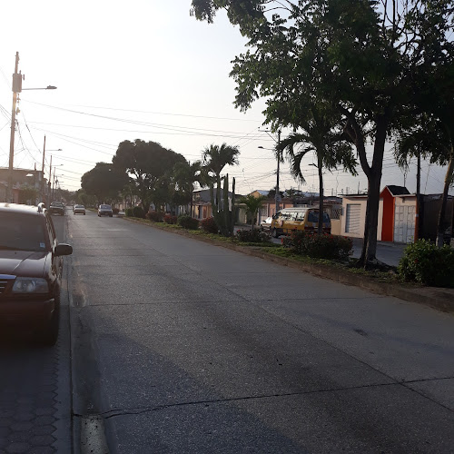 Opiniones de Parada Alimentador 2 Metrovia '' ruta samanes'' en Guayaquil - Servicio de transporte