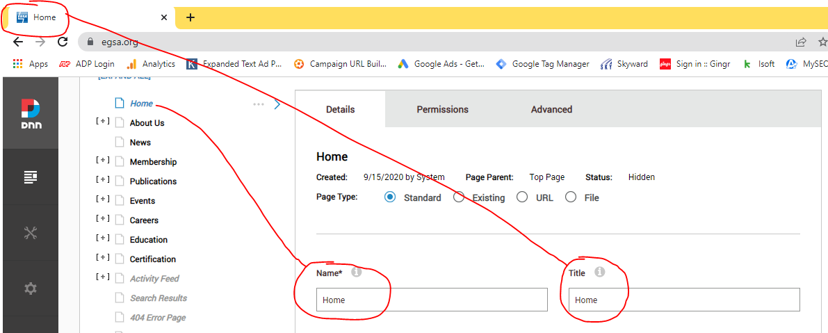 DNN page settings for page title