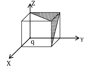 Feb 25 Shift 2 JEE Main 2021 Physics Paper With Solutions