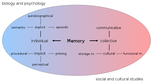 Episodic vs semantic memory can be better understood by knowing the functions of each.