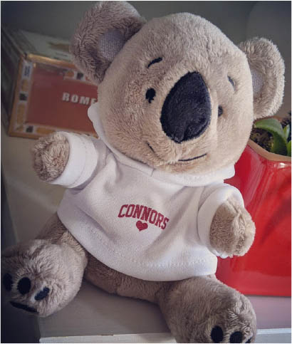 Our sweet 6" Koala is beloved by all our Connors kiddos! 