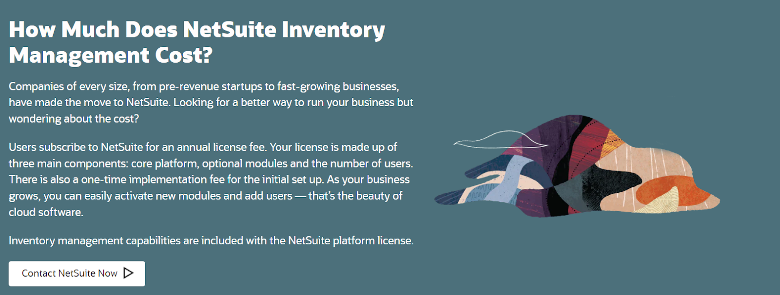 netsuite pricing