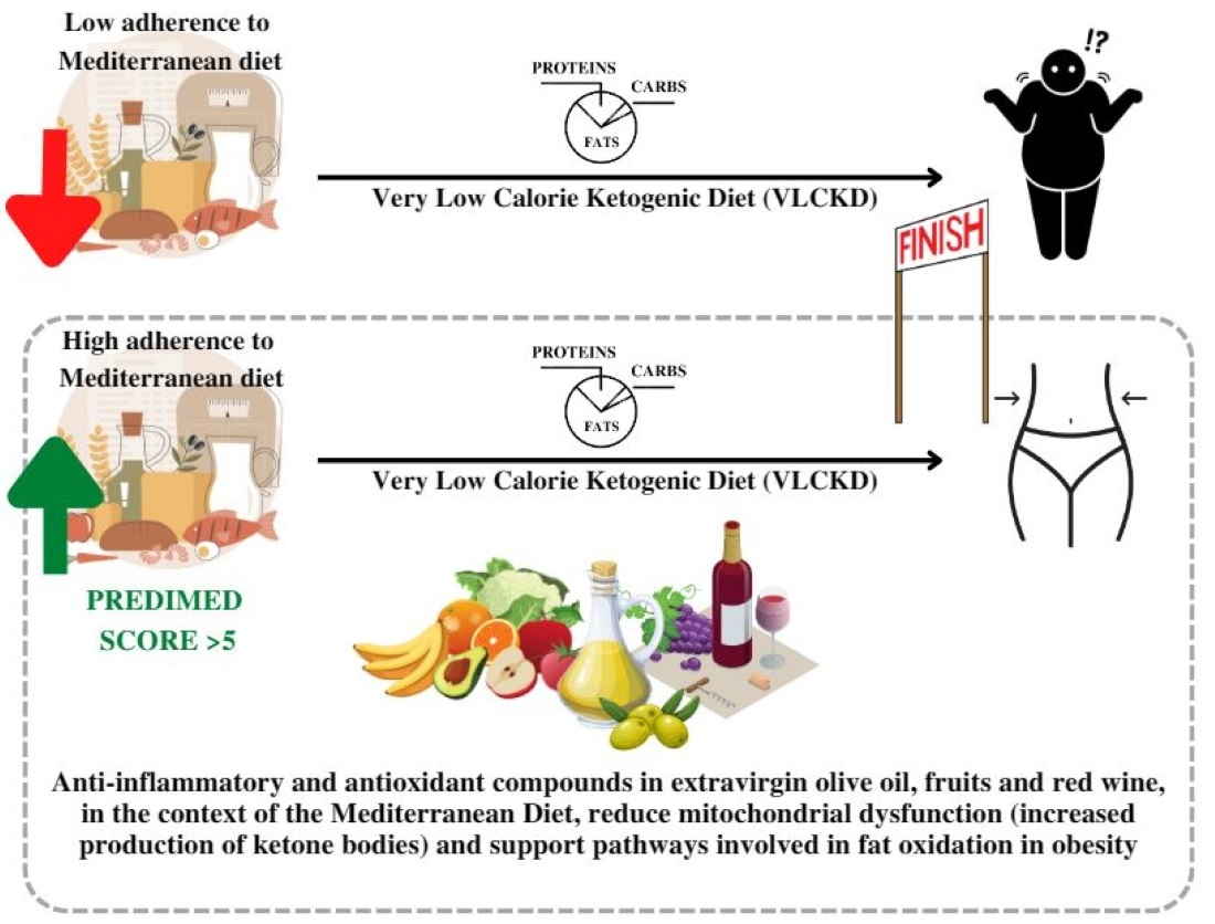 https://pub.mdpi-res.com/antioxidants/antioxidants-12-00018/article_deploy/html/images/antioxidants-12-00018-ag.png?1672130539