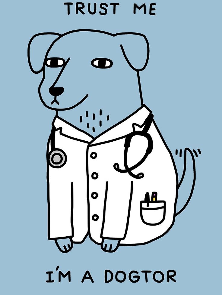 dogtor