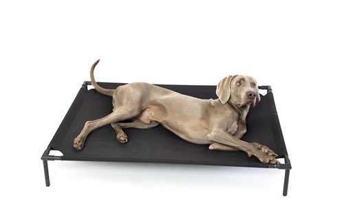 Una cama para perros elevada que es ideal para mantenerse fresco en verano y cálido en invierno.