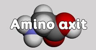 Amino axit tham gia nhiều vào việc bảo vệ làn da