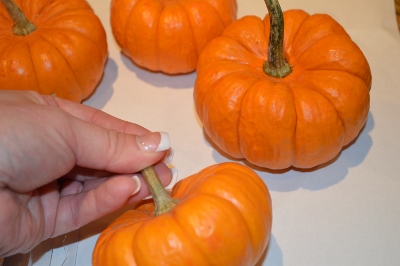 spray pumpkins with adhesive