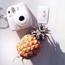 Image result for tumblr photography