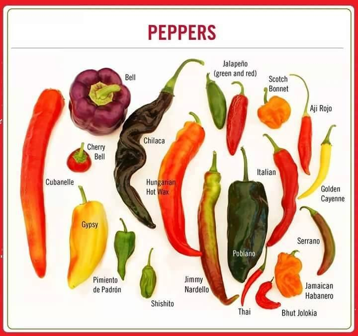 Choose the suitable pepper variety