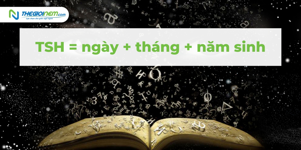 Cách tính thần số học theo tên và ngày tháng năm sinh - Thế Giới Nệm