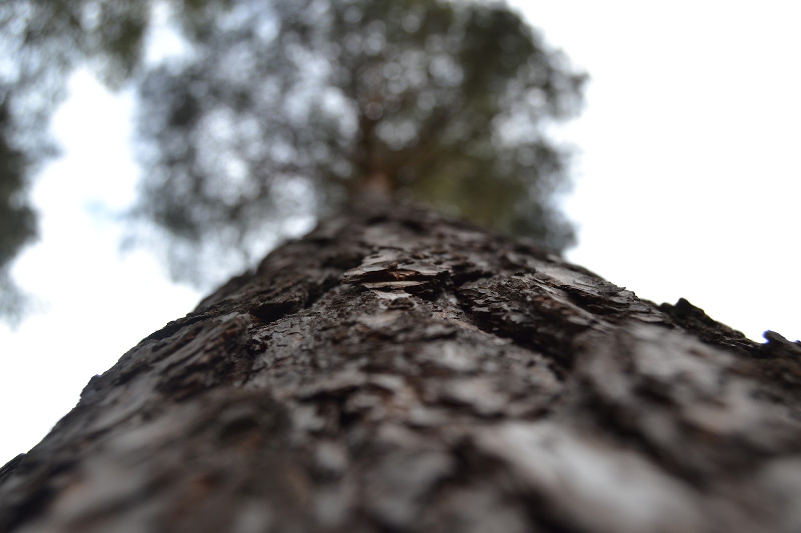 DSC_0035.JPG
