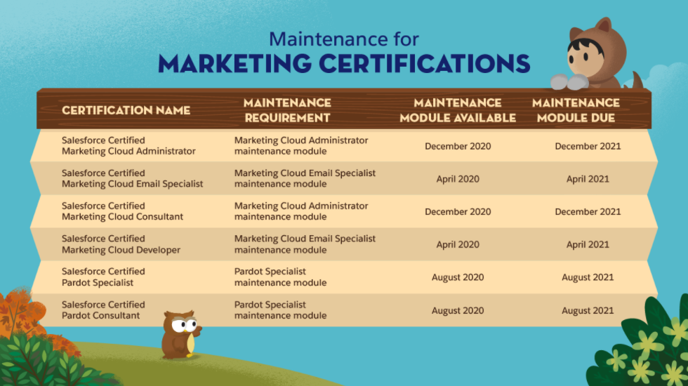SalesForce Marketer Certification