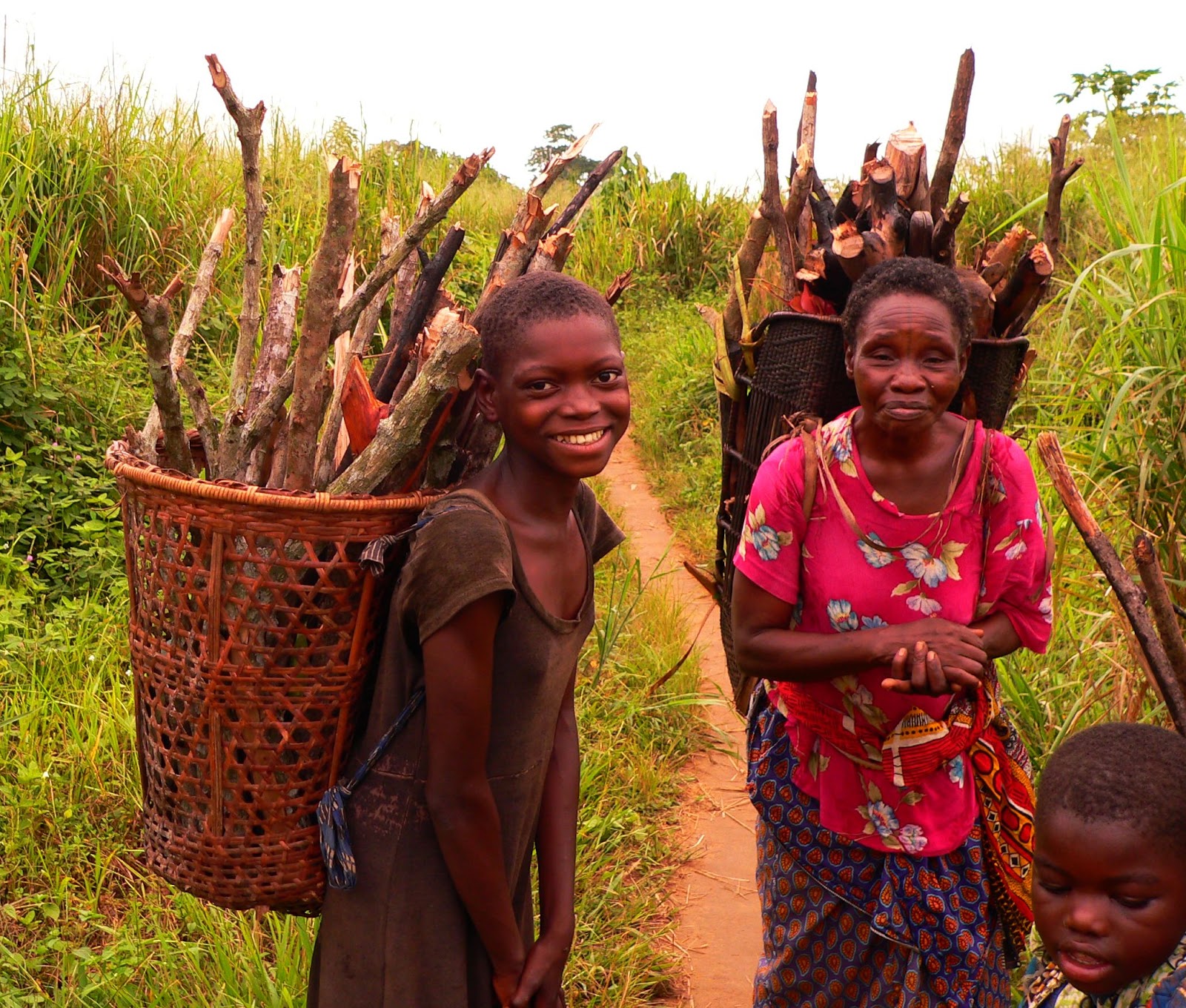 Collecting firewood in