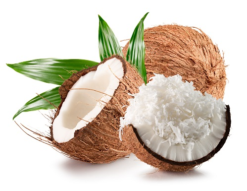 भूमि पूजन के लिए नारियल