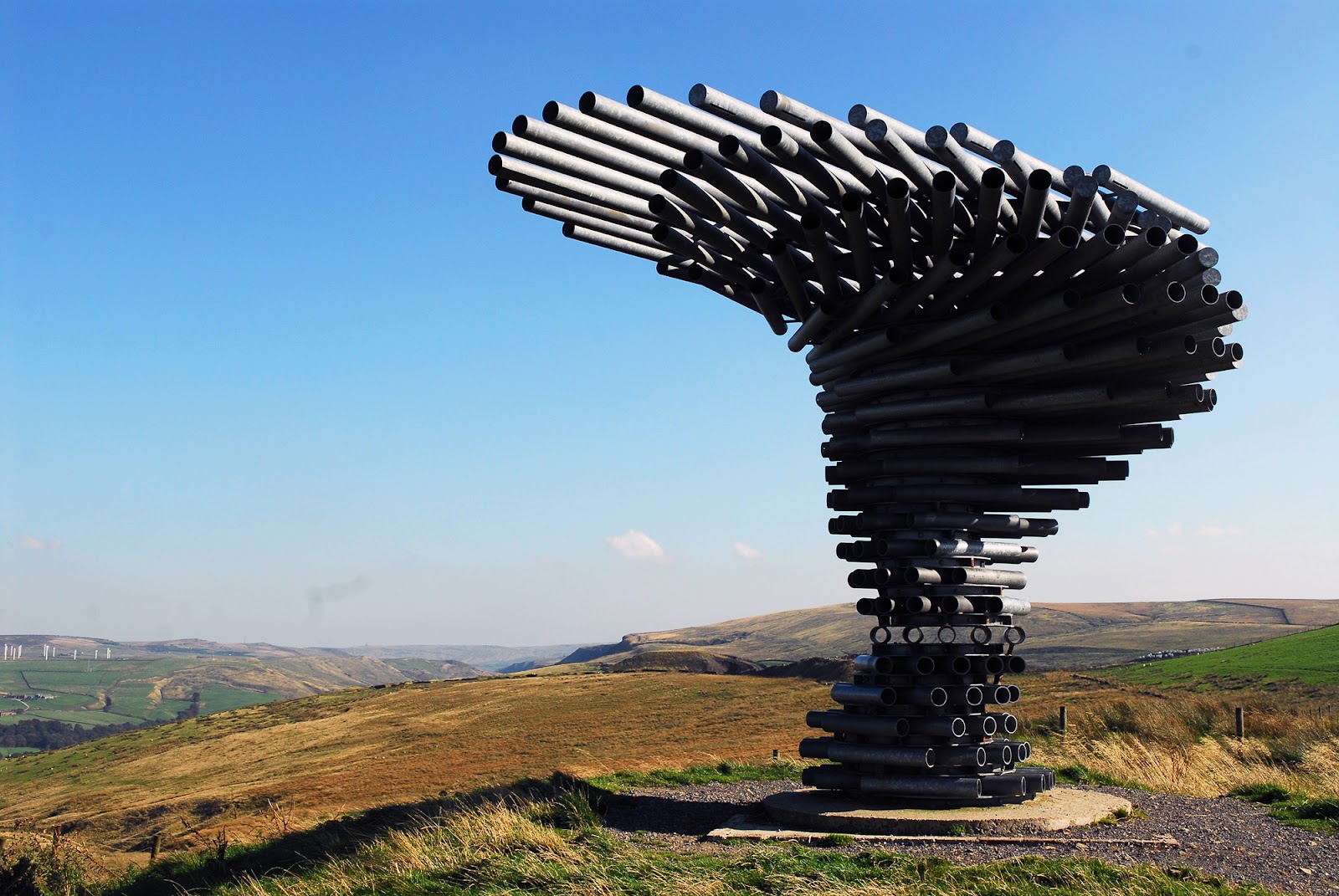 The Singing Ringing Tree