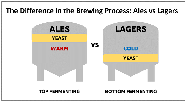 basics-about-different-craft-beers