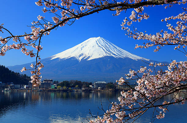 Mount Fuji Japan Cherry Blossom