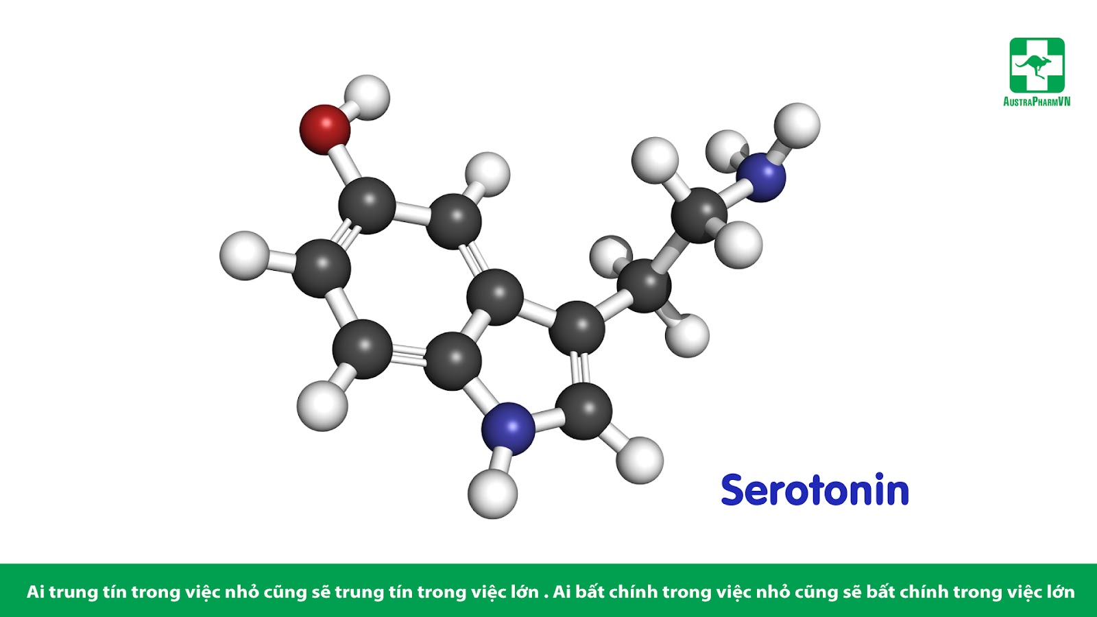 VÌ SAO TRYPTOPHAN GIÚP CẢI THIỆN TÂM TRẠNG VÀ GIẤC NGỦ?