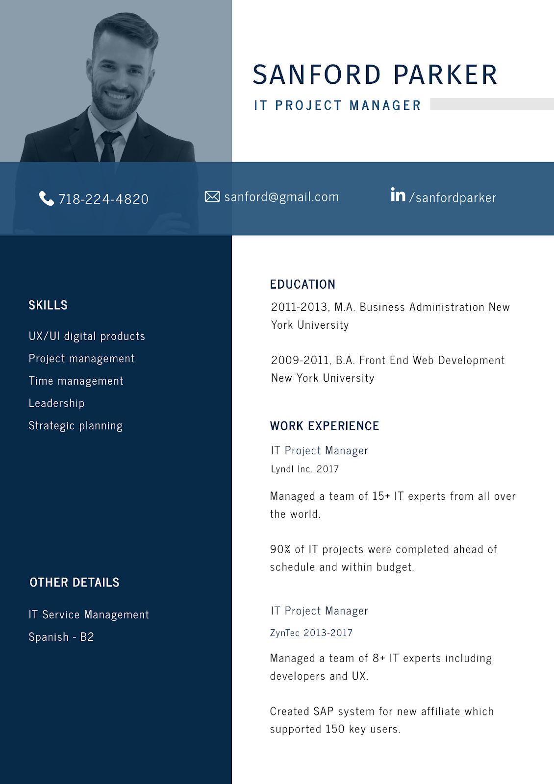IT Project Manager Resume Template by DocHipo