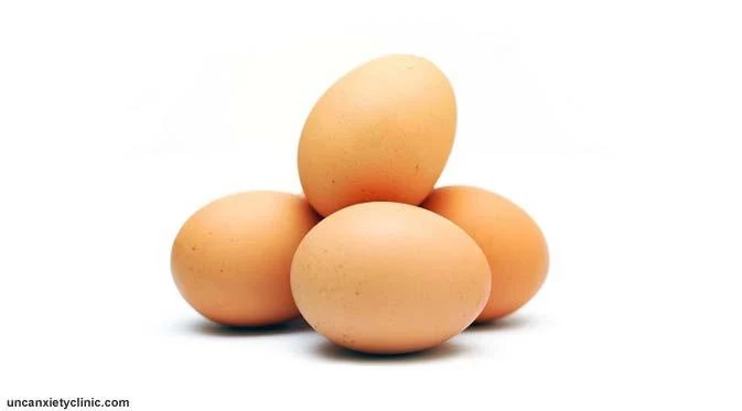 Hasil gambar untuk JENIS JENIS TELUR