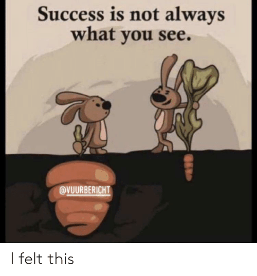 success is not what you see
